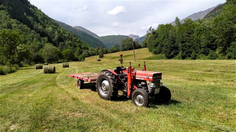 Tractor Massey Ferguson Ebro Con Plataforma Va A Buscar Las Balas