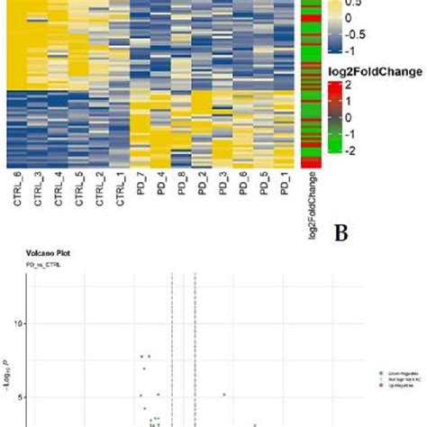 Visualization Of Differentially Expressed Genes Degs A Heatmap Of Download Scientific