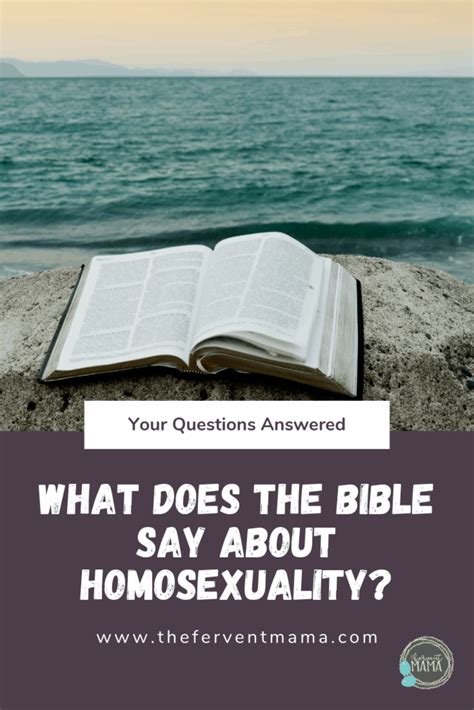 What Does The Bible Say About Homosexuality Your Questions Answered