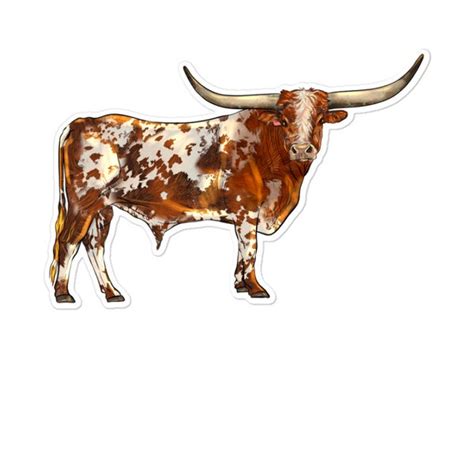 Texas Longhorn Birthday Card Etsy