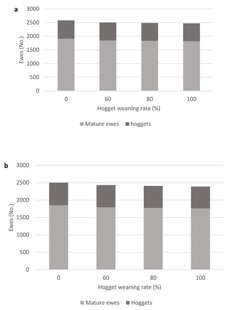 Agriculture Free Full Text The Impact Of Hogget And Mature Flock