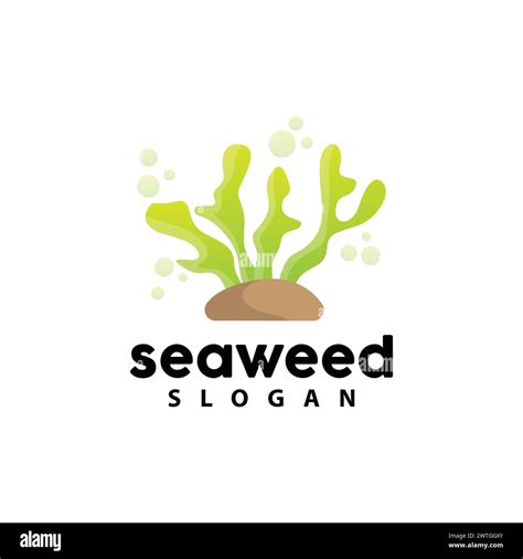 Seaweed Logo Underwater Plant Vector Simple Leaf Design Illustration