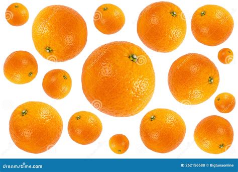 Mandarin Isolated On White Background Juicy And Fresh Mandarine