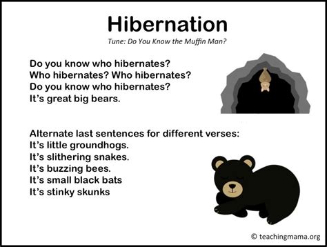 Hibernation Activities For Preschoolers - Teaching Mama - Furilia Entertainment