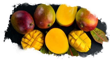 Magnificent Mangoes Veritable Vegetable