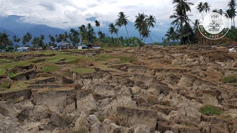 Apakah Likuifaksi Menjadi Satu Satunya Penyebab Tanah Bergerak Di