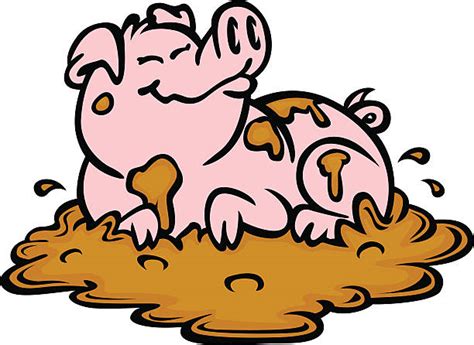 Pig In Mud Illustrations Royalty Free Vector Graphics And Clip Art Istock