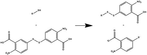 2 Schéma De La Réaction De Dosage La Fonction Thiol Libre Va Réagir