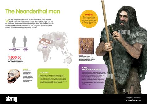 Neanderthals Hi Res Stock Photography And Images Alamy