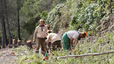 Brigadas de Diputación se emplean creando cortafuegos para prevenir los