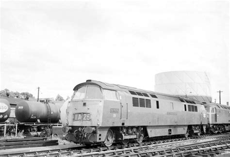 The Transport Library British Rail Diesel Loco Class 52 Western 1057 At Bristol Parkway In