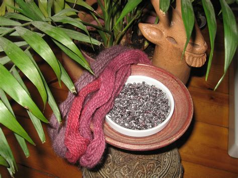 Cochineal Natural Dye, Whole Insects, Dactylopius coccus - Brush Creek ...