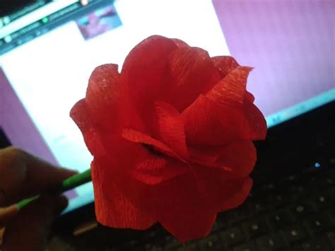 Rosas Grandes De Papel Crepe Imagui