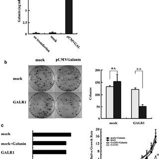 Galanin And Galr Inhibit Colony Formation In Vitro And Tumor Growth In