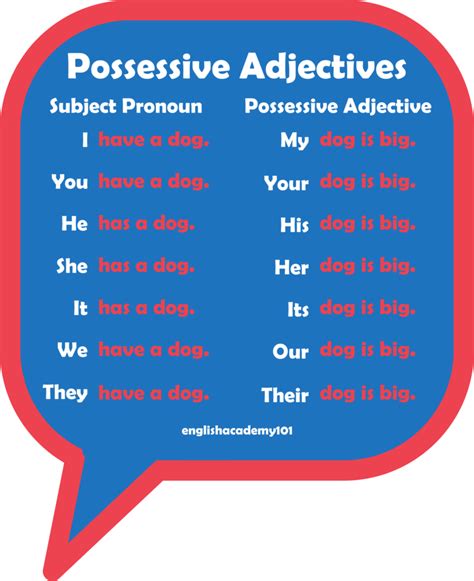 Possessive Adjectives My Your His Her Its Ours Their Englishacademy