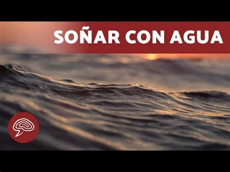 Qué Significa Soñar Con Agua Psicologistica