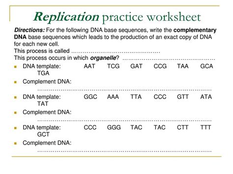 Dna Replication Review Worksheet