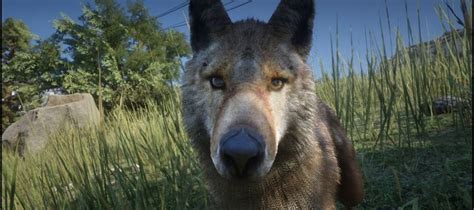 Red Dead Redemption 2 How To Play As Animals Or Other Gamewatcher