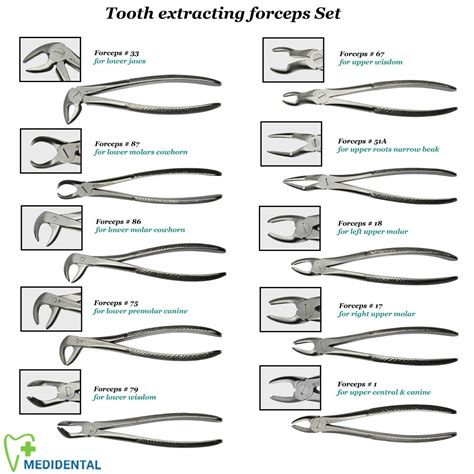 Chirurgicales Daviers Pour Upper Lower Teeth Extracting Instrument