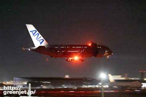 成田で飛行機～夜にホヌ3号機と白ジャンボ Mgt Greenjet 飛行機撮影記