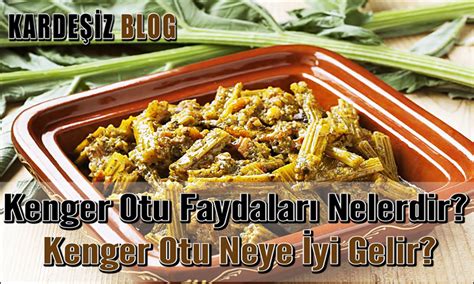 Kenger Otu Faydalar Nelerdir Kenger Otu Neye Yi Gelir