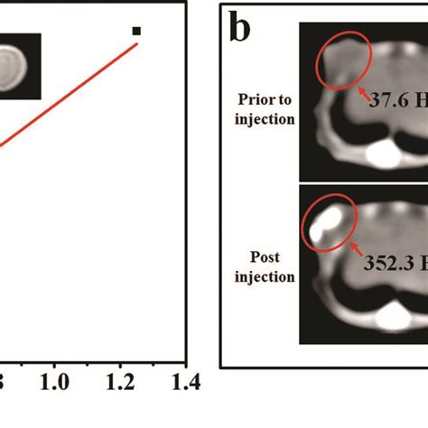 Ct Imaging Efficiency Of Il Zro2in Vitro And In Vivo A Ct Values And Download Scientific