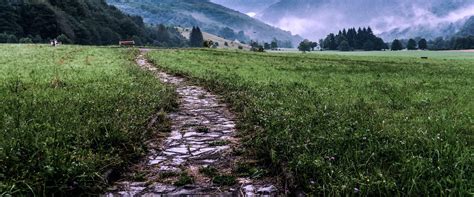 Exploring Free Journey Resources