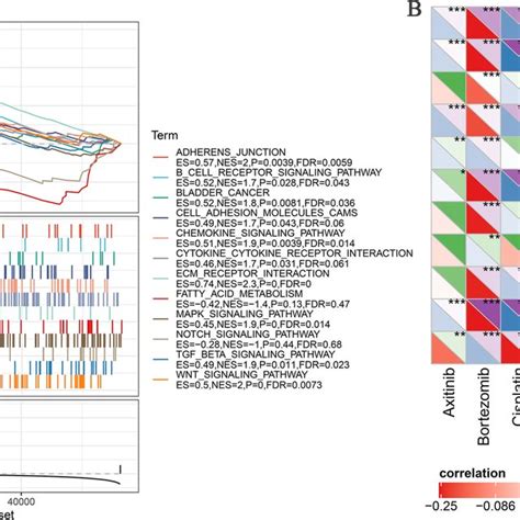 A Gene Enrichment Analysis For Ferroptosis Related Lncrnas Based On Download Scientific Diagram