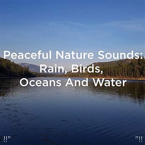 Amazon MusicでDeep Sleep Sleep Sound Libraryの Peaceful Nature