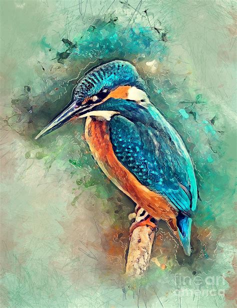 Painting Watercolor Bird Kingfisher Watercolor Art Collectibles Jan