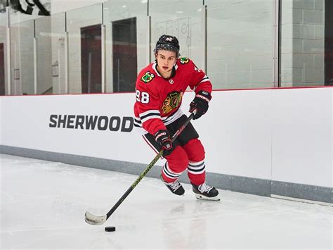 Sherwood Hockey Stick Curve Chart Ice Warehouse