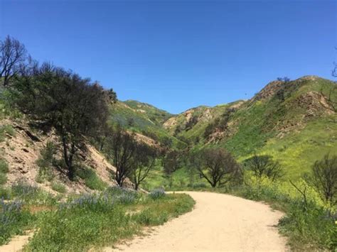 2023 Best 10 Long Trails in Agoura Hills | AllTrails