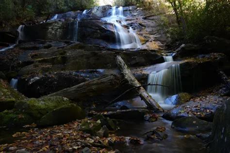 Best Hikes and Trails in Snowbird Wilderness Study Area | AllTrails