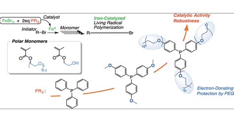 Phosphine Ligand Decoration Toward Active And Robust Iron Catalysts In Lrp Macromolecules