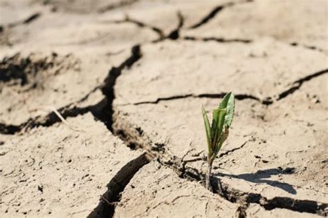 Mudan As Clim Ticas Causas E Solu Es Horizonte Ambiental