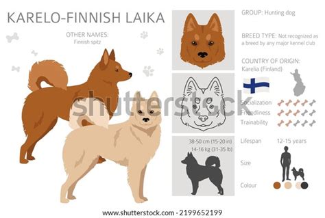 901 Laika Dog Vector Images, Stock Photos, 3D objects, & Vectors ...