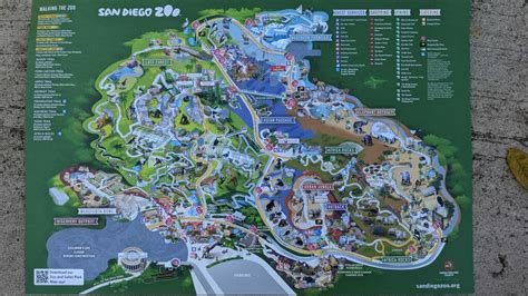 Top San Diego Zoo Tips - From A Former Zoo Employee