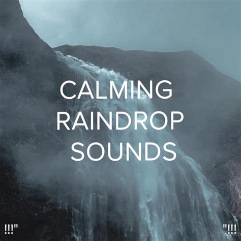 Calming Raindrop Sounds Album By Rain Sounds Spotify