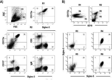 Molecular And Functional Characterization Of Porcine Siglec Cd And