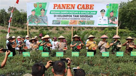 Berhasil Mengatasi Krisis Pangan TNI Polri Di Tebo Bantu Warga Panen Cabai