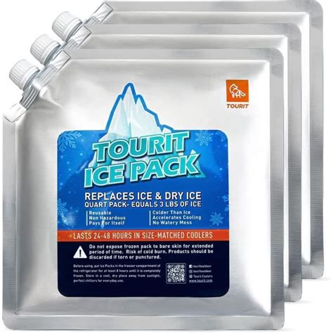 Pain De Glace Pour Sac Isotherme R Utilisables Pour Glaci Res Packs De