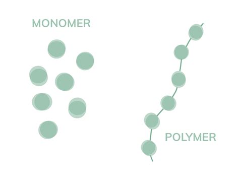 Guide Die 9 Wichtigsten Fakten Zu Chemiefasern