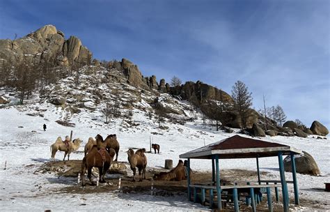 Turtle Rock in Gorkhi-Terelj - Insight Mongolia