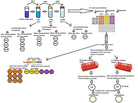 Evaluation of COPAN ESwab Transport System for Viability of Clinically ...