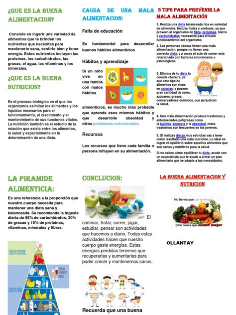 Triptico La Buena Alimentacion Y Nutricion1 Alimentos Nutrición