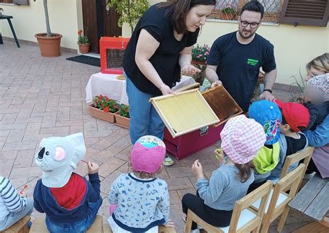 Bambini Alla Scoperta Del Mondo Delle Api