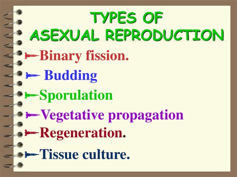 What Are The 5 Types Of Asexual Reproduction At Rachel Breunig Blog