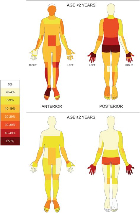 The Body Distribution Of Scabies Skin Lesions Osti 2022 JEADV