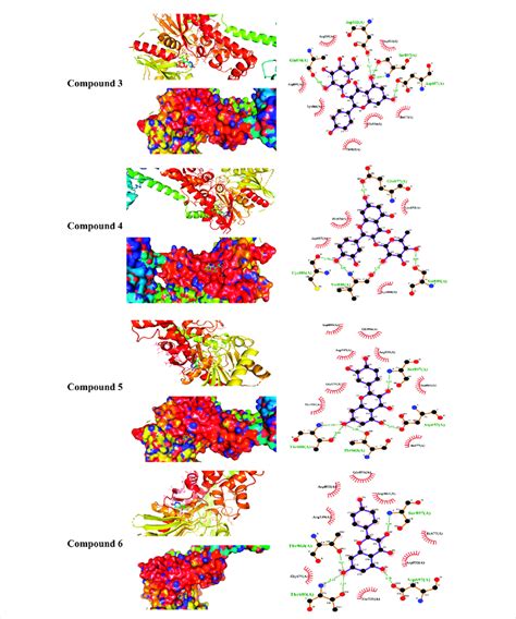 Molecular Docking Showing The Binding Modes Of Compounds And
