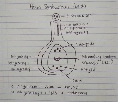 Detail Contoh Perkembangbiakan Generatif Pada Tumbuhan Koleksi Nomer